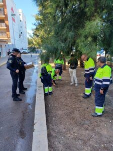 Servicios limpieza Burjassot